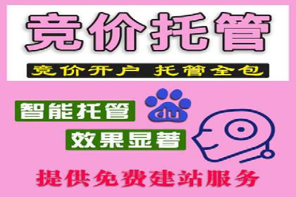 SEM推广案例：电商流量提升策略